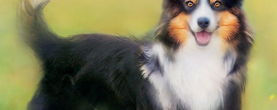 Dusty_02-Gefahr_cover