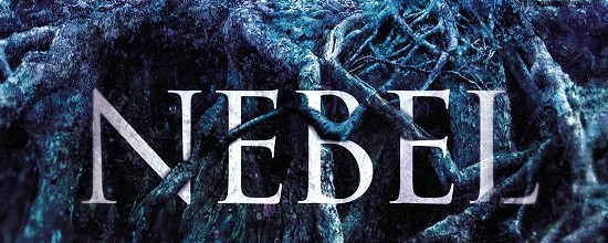 Nebelsilber von Tanja Heitmann