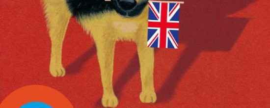 Toms_englischer__Hund