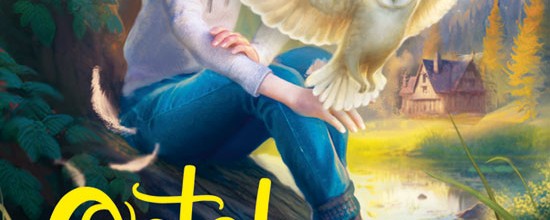 cover cover