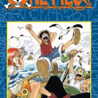 one-piece-cover