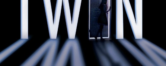 the-third-twin-cover